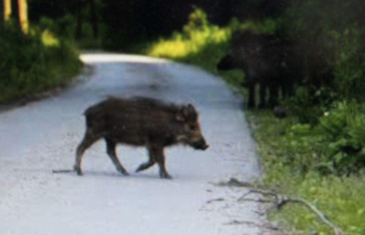 Willa Stordragen Kil Zewnętrze zdjęcie
